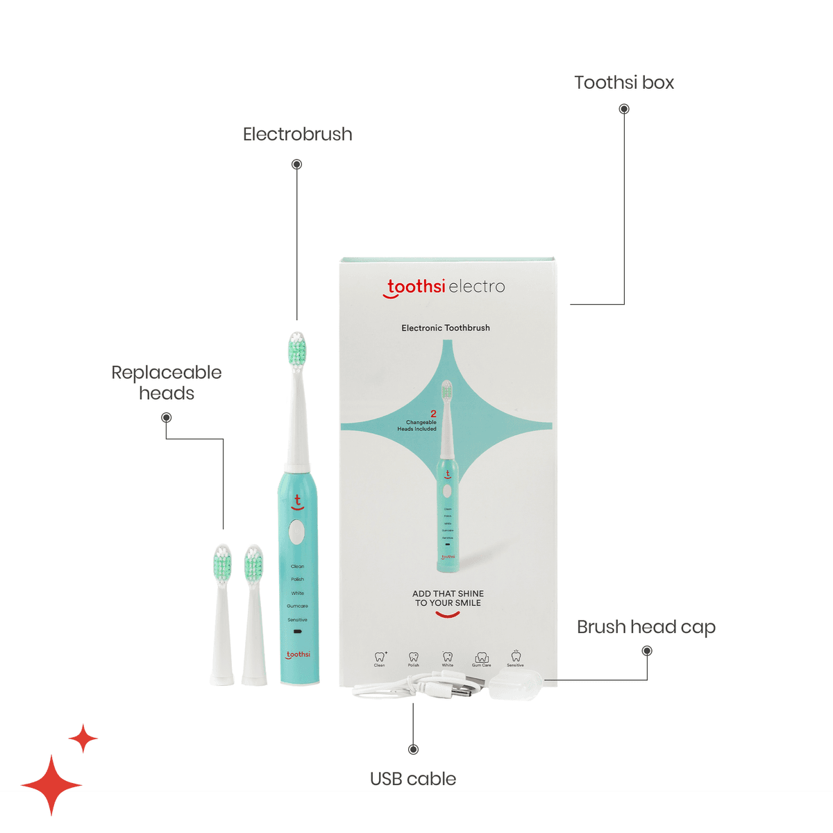 Entire Set of toothsi electro - Electric Toothbrush